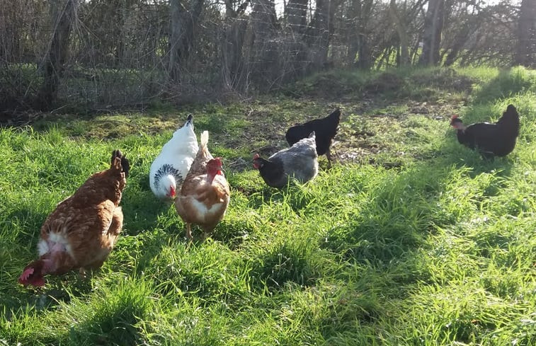 Natuurhuisje in HERRY