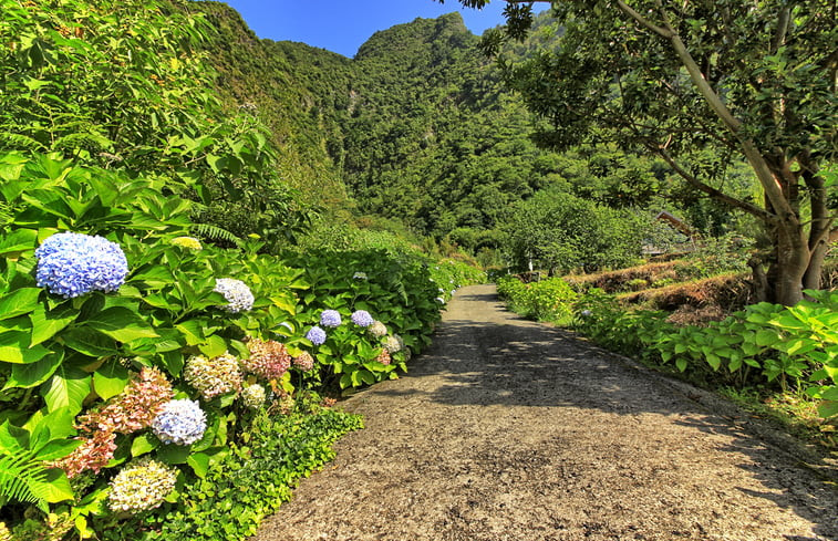 Natuurhuisje in São Vicente