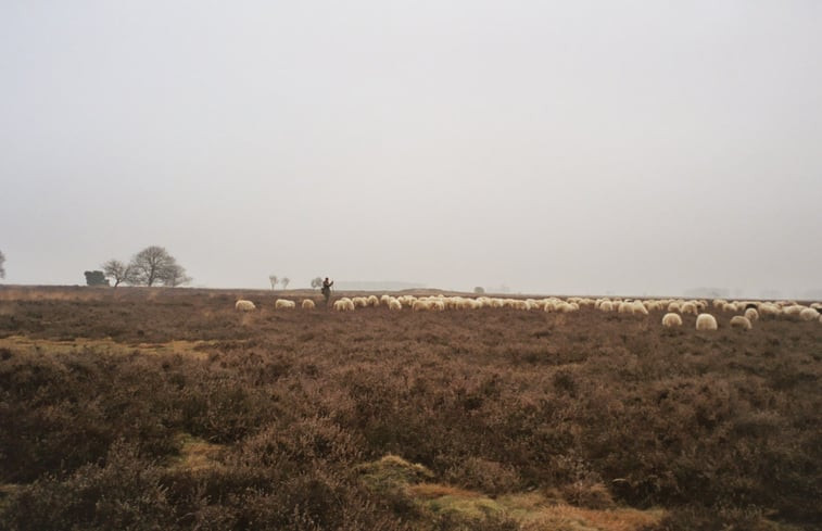 Natuurhuisje in Ansen