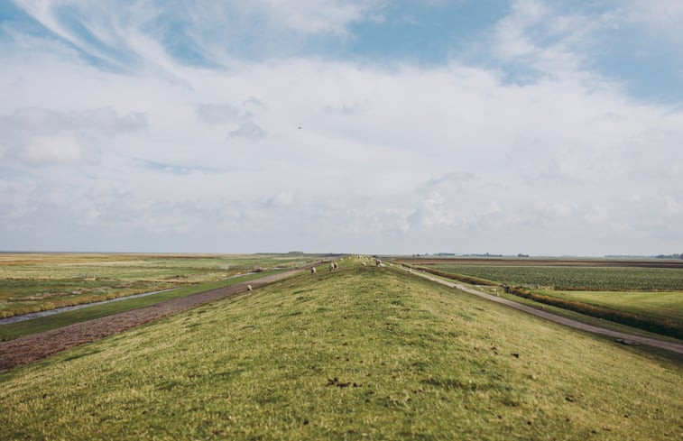 Natuurhuisje in Usquert