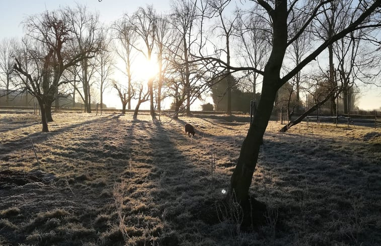 Natuurhuisje in Hem