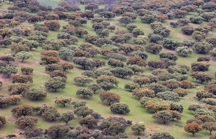 Natuurhuisje in Berzocana