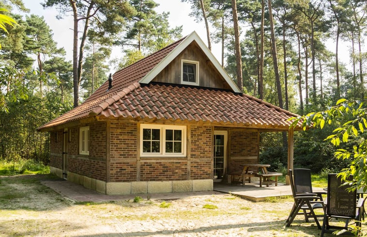 Natuurhuisje in de Lutte