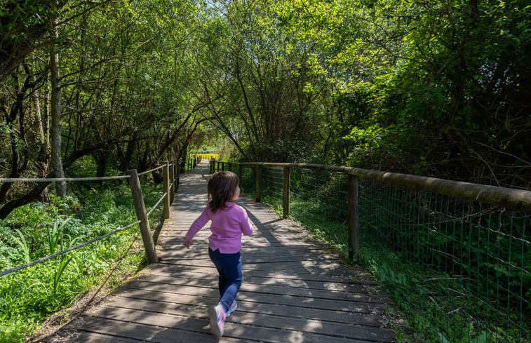 Natuurhuisje in Valadares, Vila Nova de Gaia