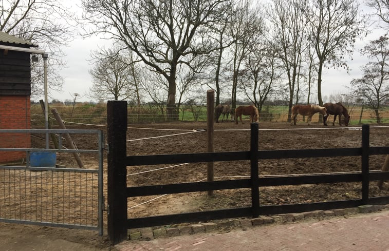 Natuurhuisje in Winsum