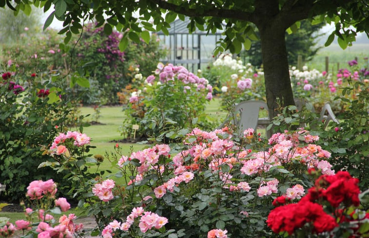 Natuurhuisje in Zoutelande