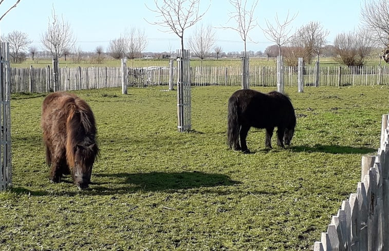 Natuurhuisje in Veurne