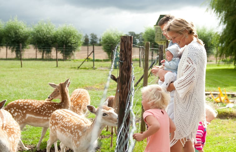 Natuurhuisje in Veere