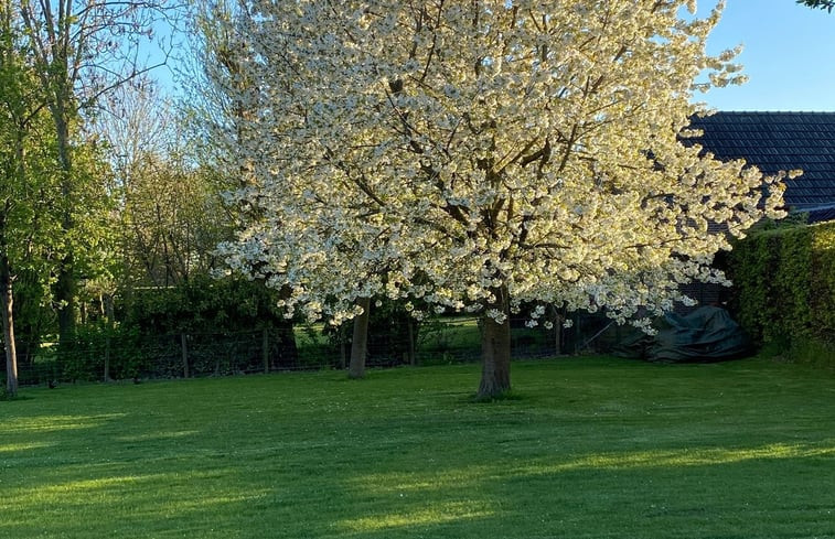 Natuurhuisje in Herpt