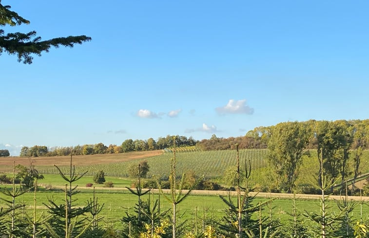 Natuurhuisje in Nideggen-Berg