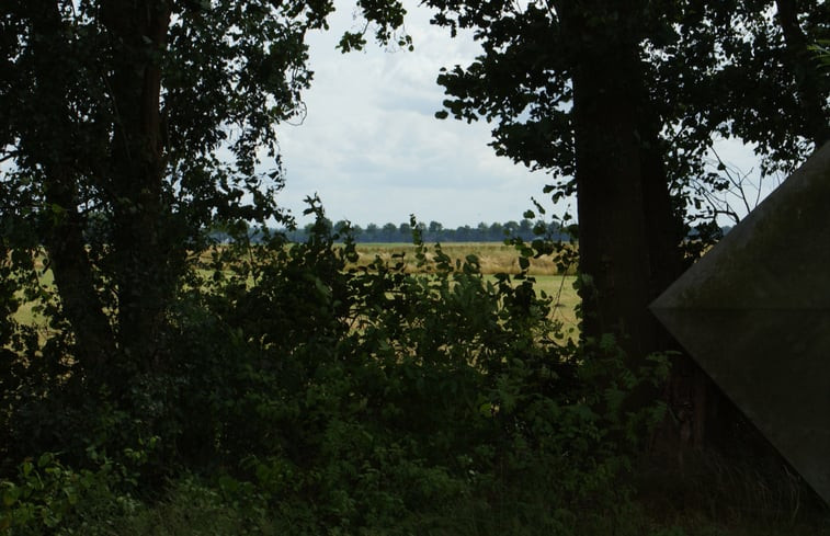 Natuurhuisje in Drouwenerveen