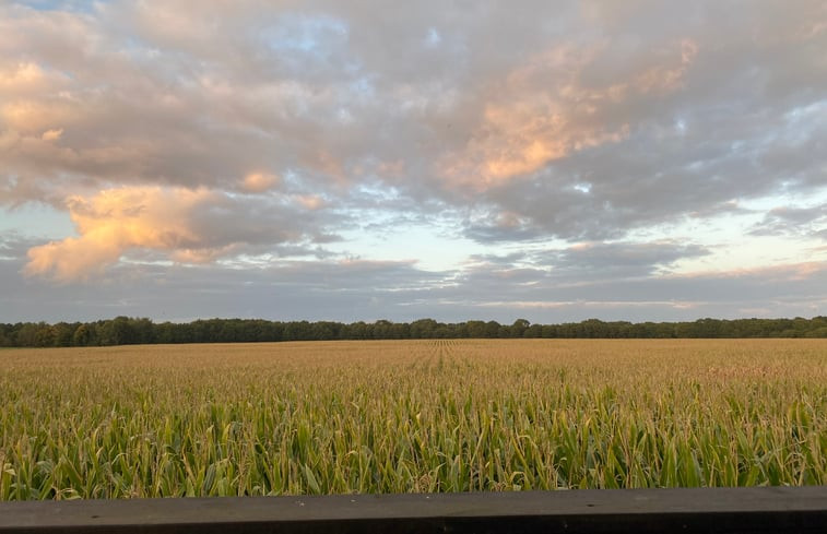 Natuurhuisje in Diever