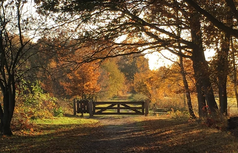 Natuurhuisje in Riel