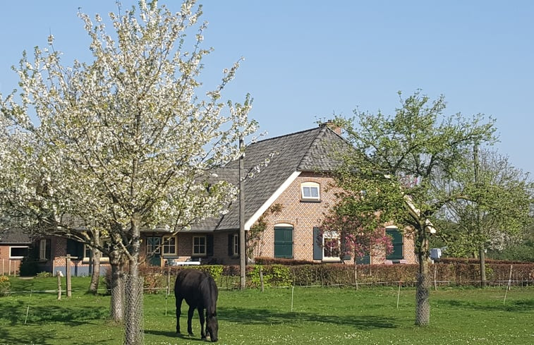 Natuurhuisje in Westendorp