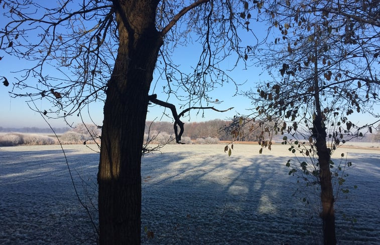 Natuurhuisje in Beerze