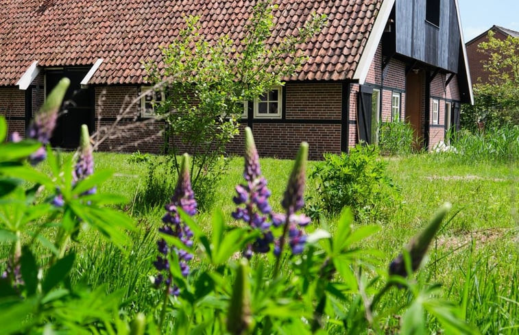 Natuurhuisje in Reutum