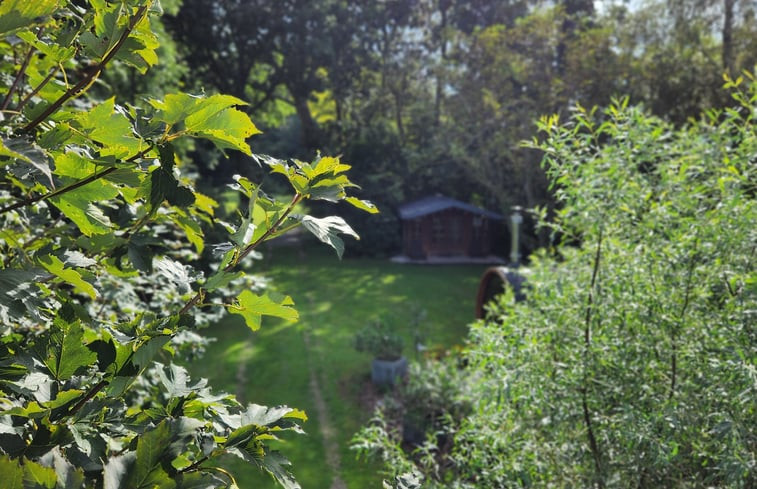 Natuurhuisje in de Hoef