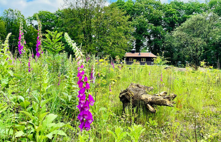 Natuurhuisje in Arnhem