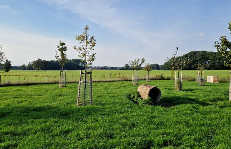 Natuurhuisje in Ambt Delden