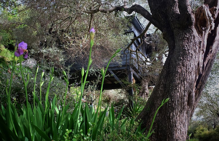 Natuurhuisje in Pelion