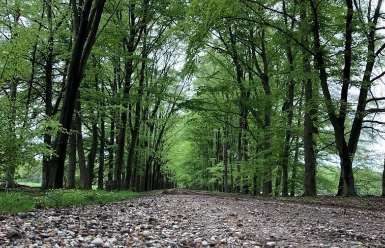 Natuurhuisje in Ootmarsum