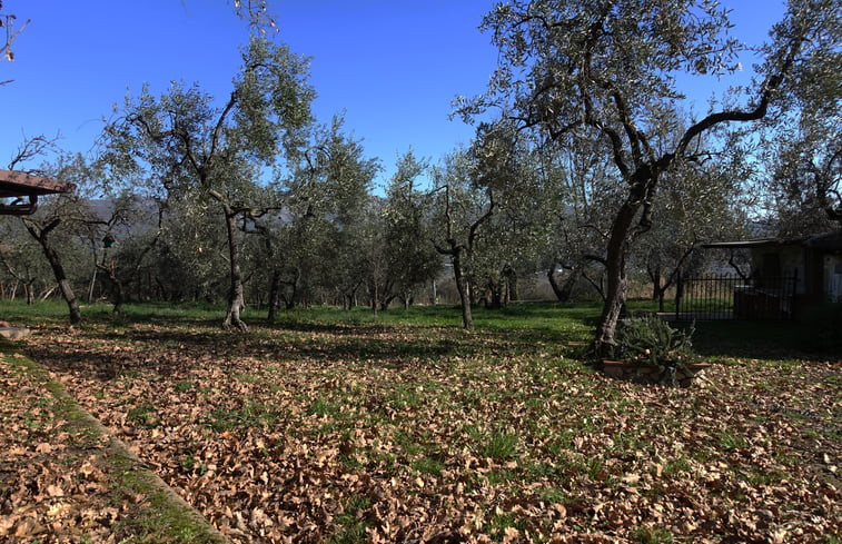 Natuurhuisje in Spigno Saturnia