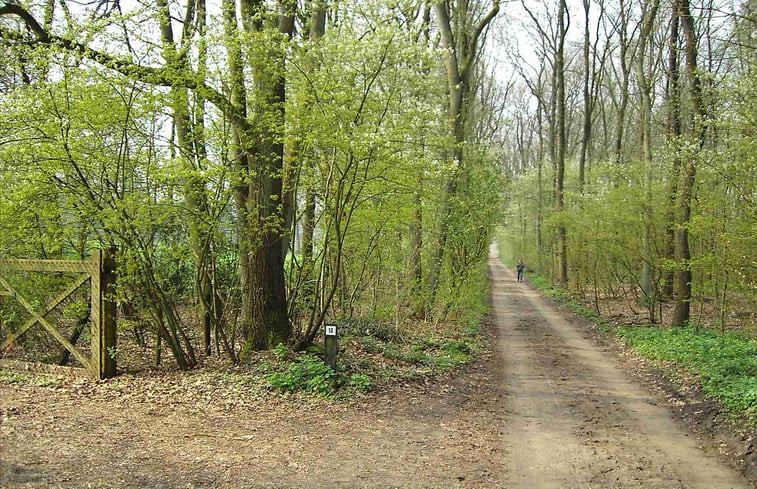 Natuurhuisje in Hoenderloo