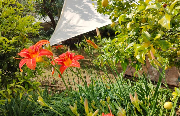 Natuurhuisje in Camogli