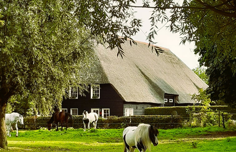 Natuurhuisje in IJzendijke