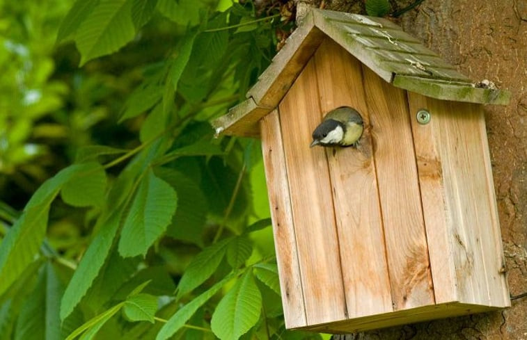 Natuurhuisje in Garderen