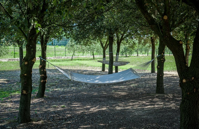 Natuurhuisje in Castiglion Fiorentino