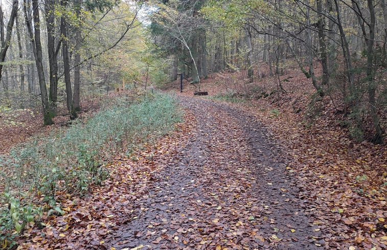 Natuurhuisje in Frankenau