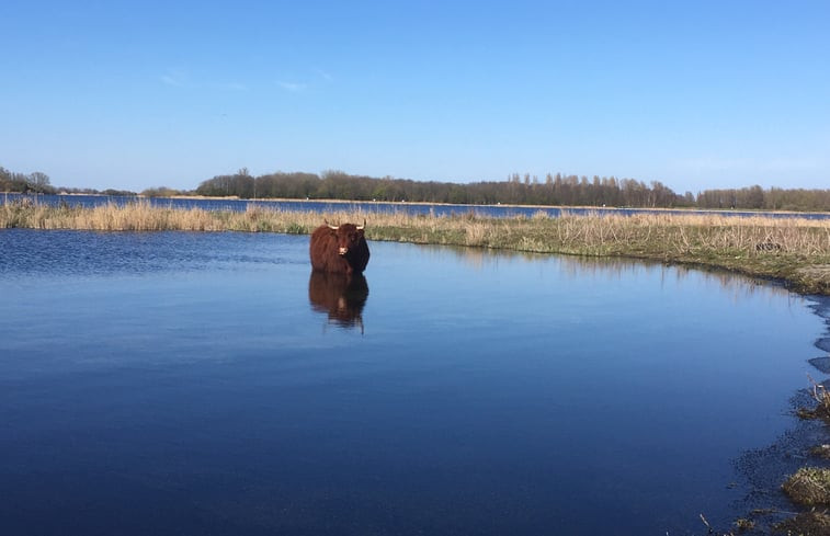 Natuurhuisje in Purmerland