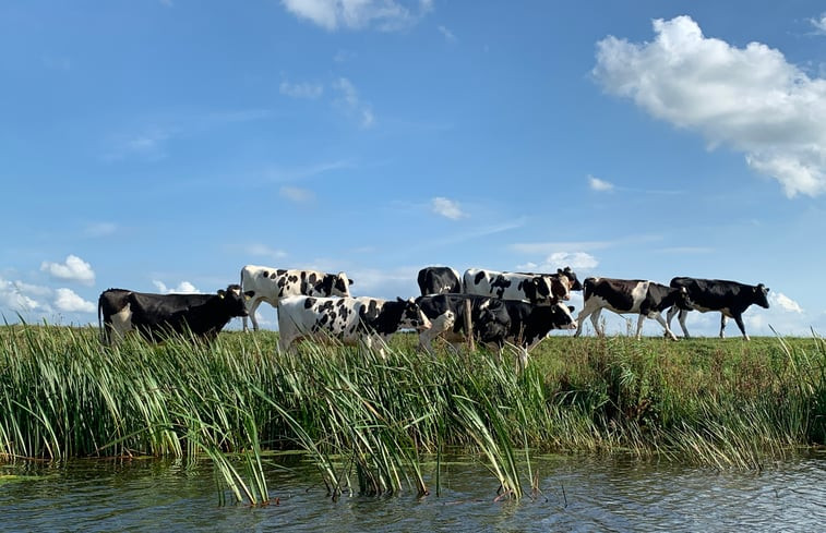 Natuurhuisje in Oudehorne