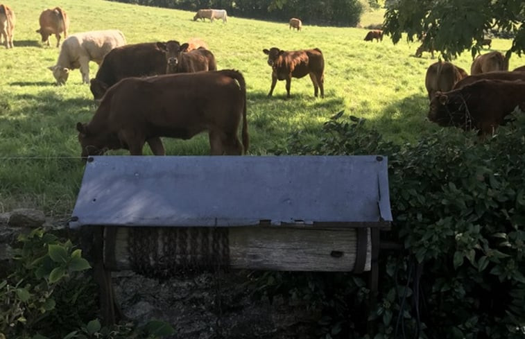 Natuurhuisje in Bétête