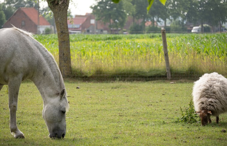 Natuurhuisje in Ruddervoorde