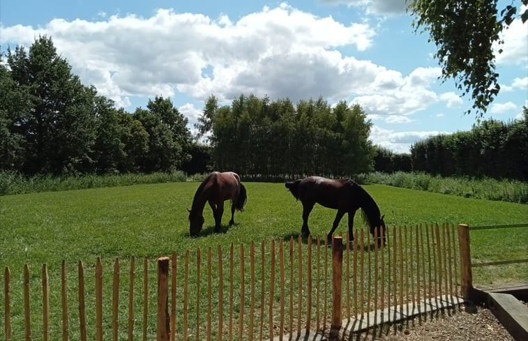 Natuurhuisje in Gameren