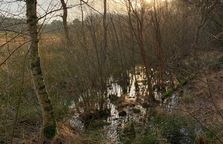 Natuurhuisje in Norg