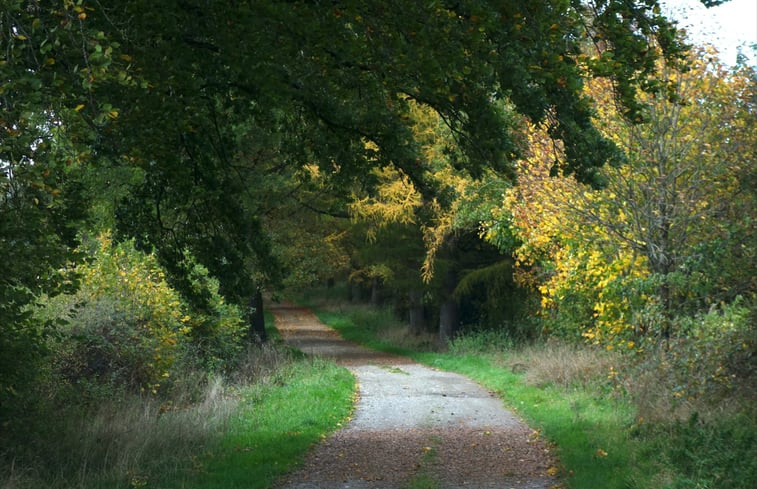 Natuurhuisje in Grand-Halleux