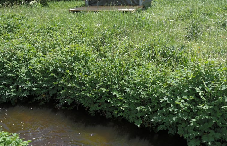 Natuurhuisje in Saint Bonnet le Chastel