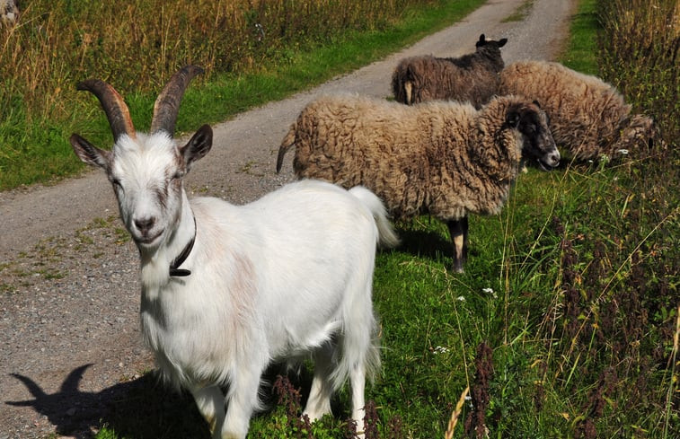 Natuurhuisje in Skultuna