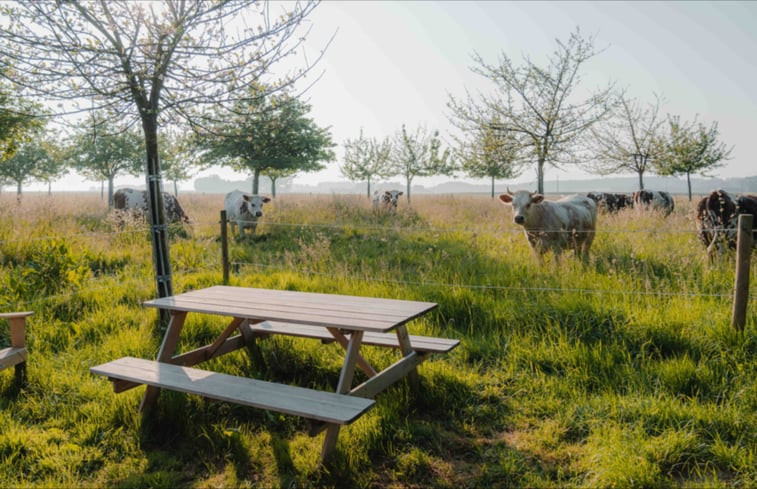 Natuurhuisje in Rives-en-Seine