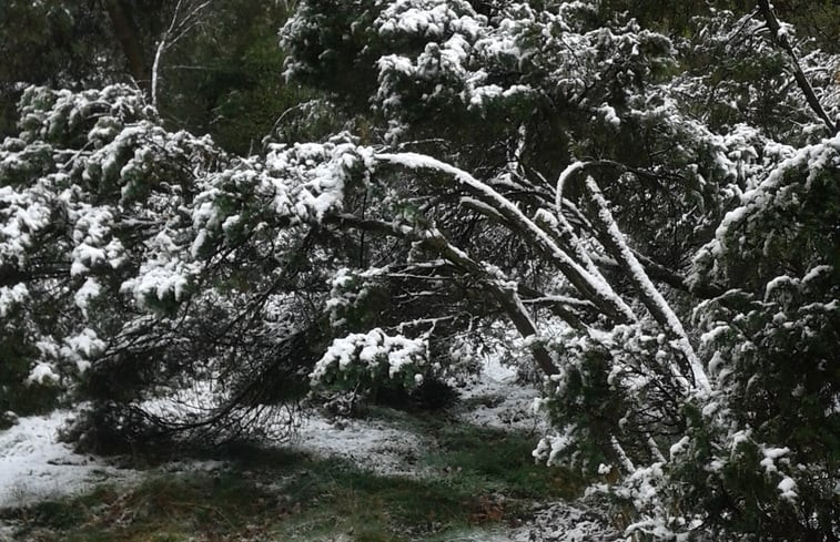 Natuurhuisje in Meppen