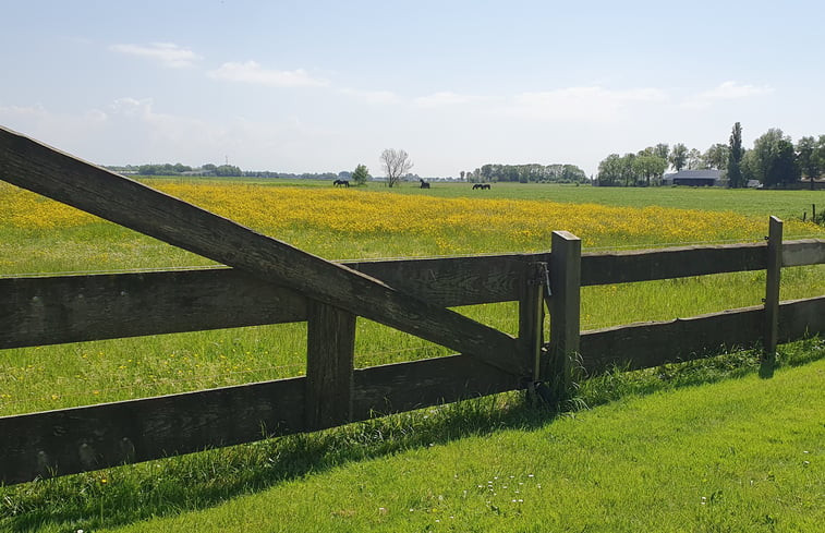 Natuurhuisje in Wjelsryp