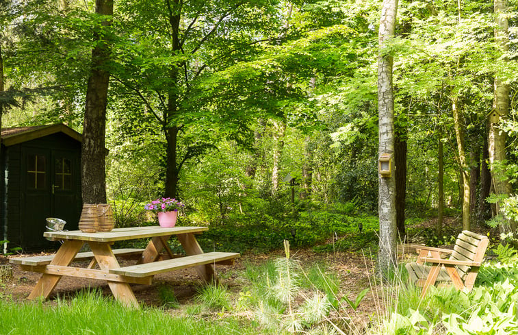 Natuurhuisje in Vledder