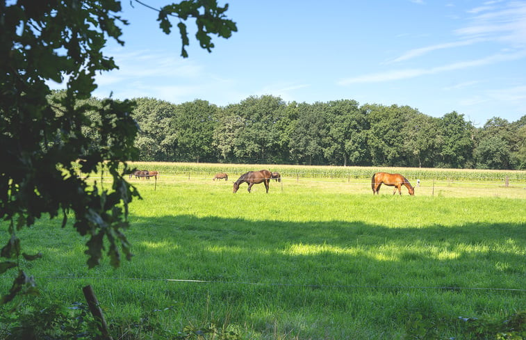 Natuurhuisje in Soest