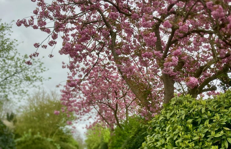 Natuurhuisje in Groet