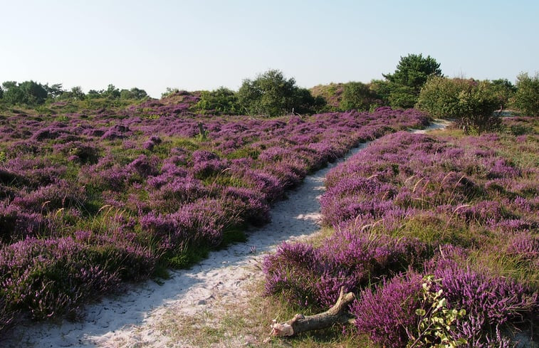 Natuurhuisje in Schoorl