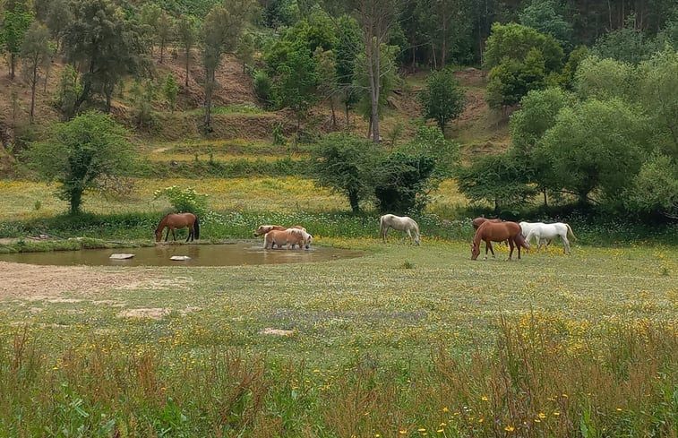 Natuurhuisje in Midões