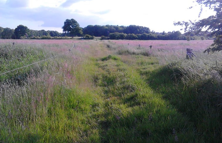 Natuurhuisje in Balkbrug